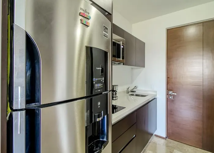 Menesse #327, Downtown Hotel *